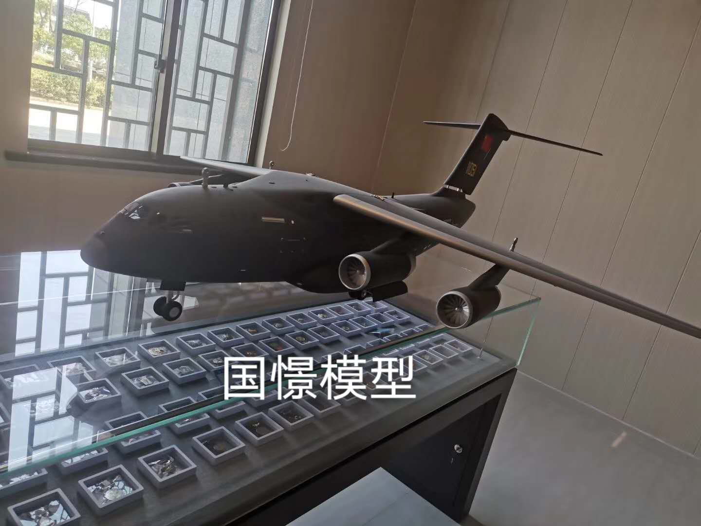 昌吉县飞机模型